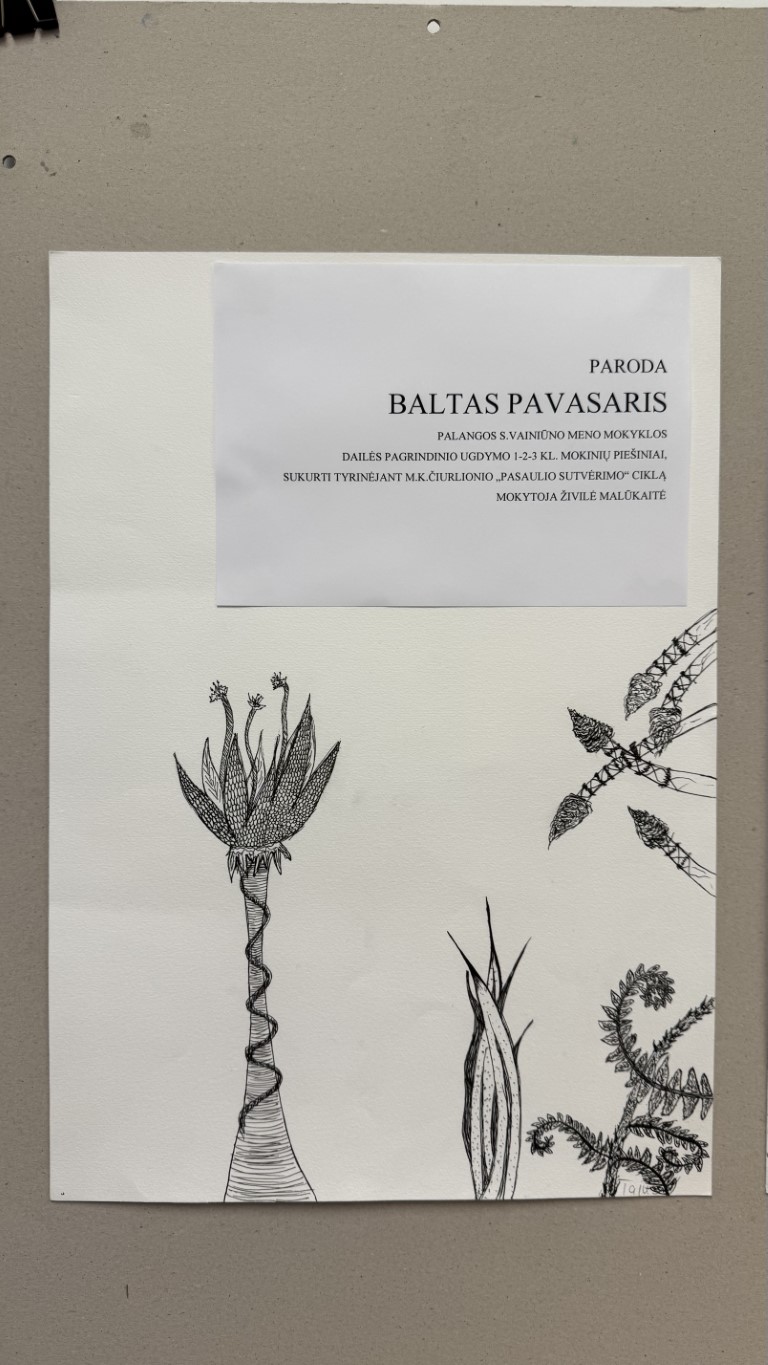 Paroda BALTASIS PAVASARIS
